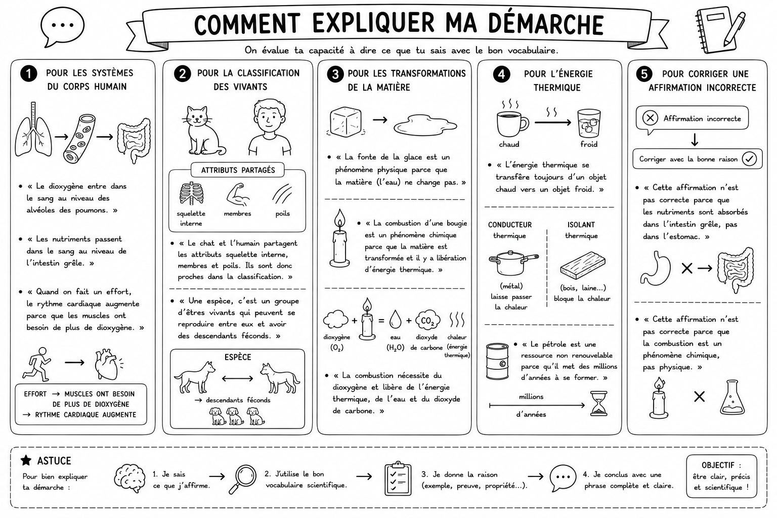 Sciences 13 — Comment expliquer ma démarche